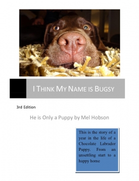 I Think My Name Is Bugsy