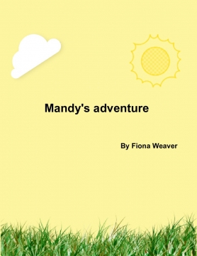 Mandy's adventure