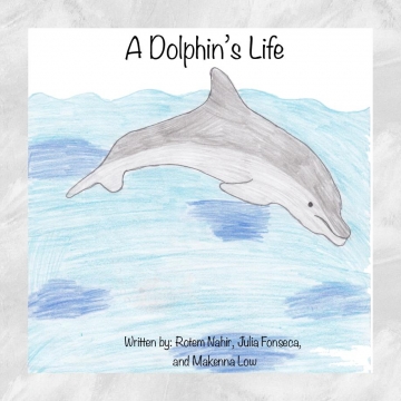 A Dolphin's Life