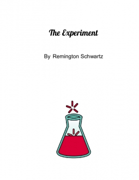 The Experiment