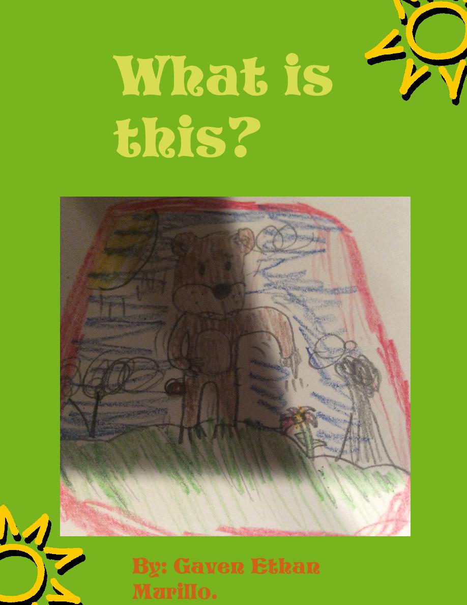 book cover