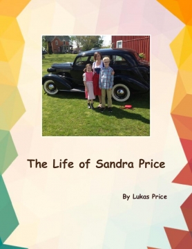 The Life Of Sandra Price