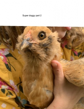 *