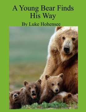A Young Bear Finds His Way