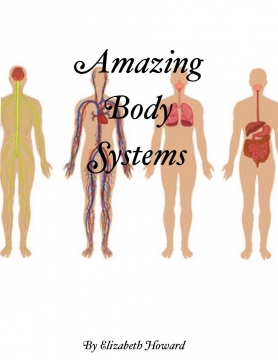 Amazing Body Systems