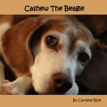 Cashew The Beagle