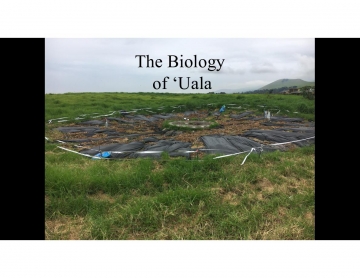 Biology of 'Uala