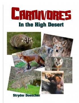 Different Facts About Carnivores in the High Desert