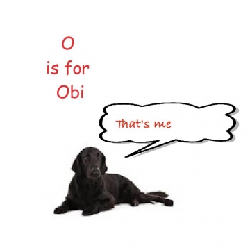 O is for Obi