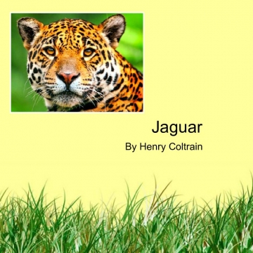 Jaguars