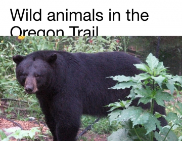 *