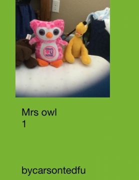 Mrs. Owl.         1
