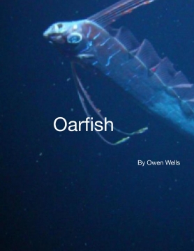 Oarfish