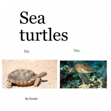 *