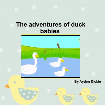 The adventures of duck babies