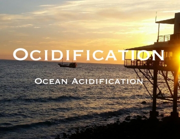 Ocidification