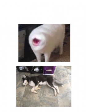 *