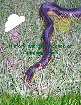 *