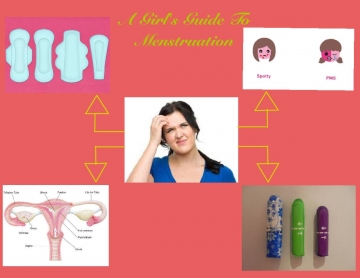 A Girl's Guide To Menstruation