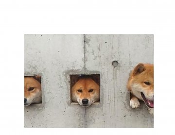 *