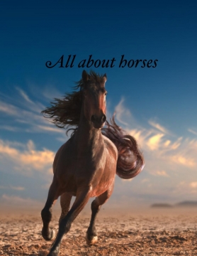 All about horses