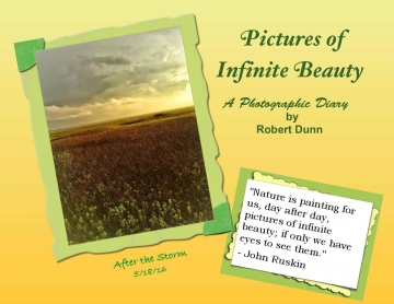 Pictures of Infinite Beauty