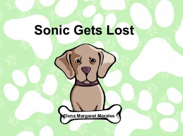 Sonic Gets Lost