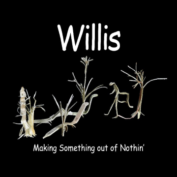 Willis