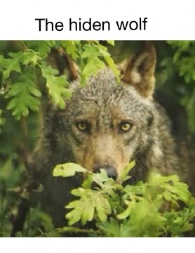 *