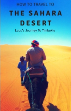 How To Travel To The Sahara Desert