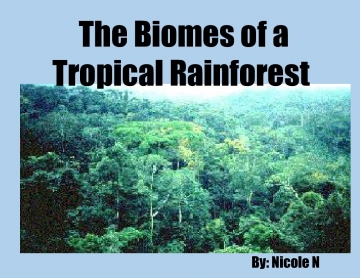The Biomes of a Tropical Rainforest