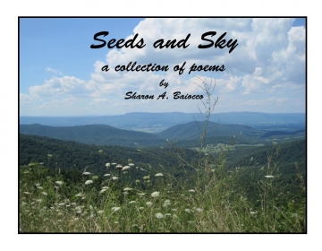 Seeds and Sky