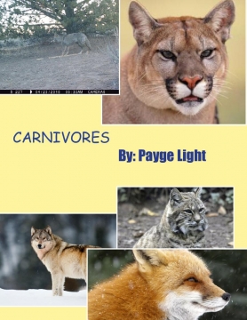 Carnivores