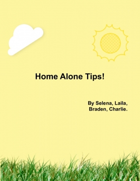 Home Alone Tips!