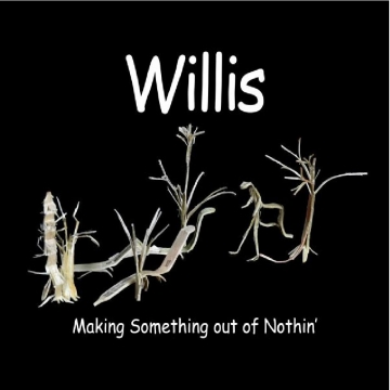 Willis