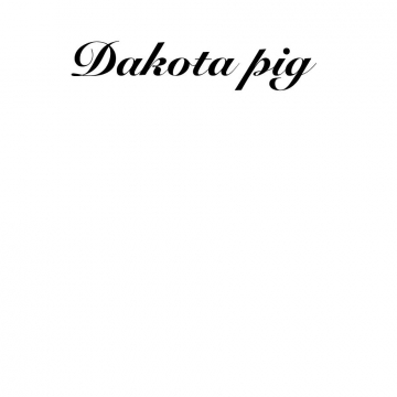 Dakota pig