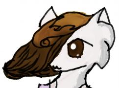 author icon