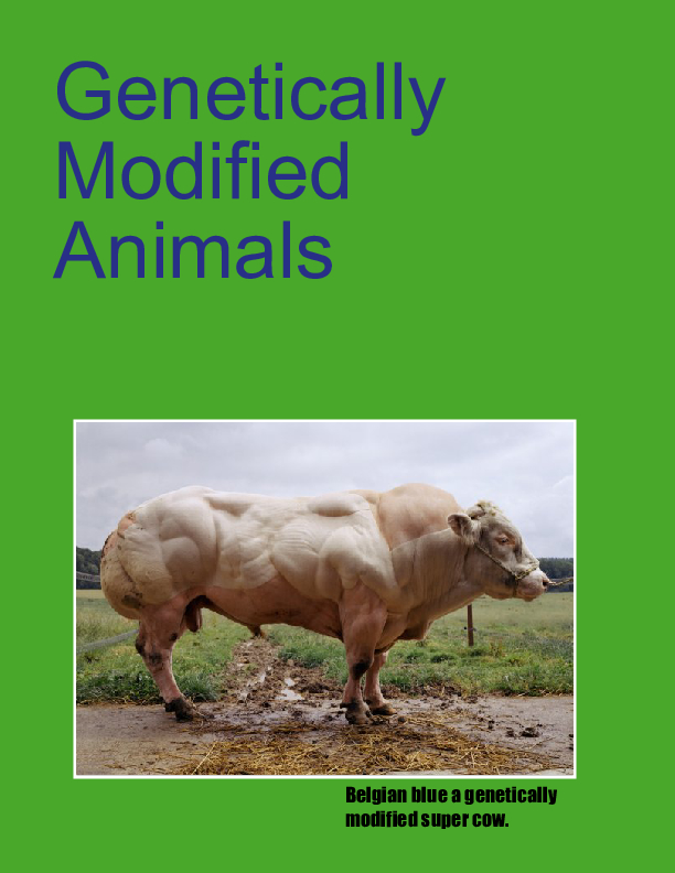 Genetically Modified Animals Book 694864 | Front Cover