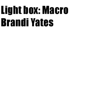 light box Macro
