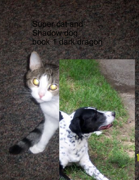 Super cat and shadow dog