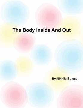The Body Inside and Out