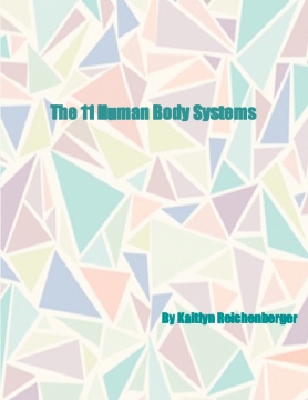 The 11 Human Body Systems