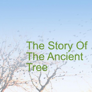 The Story of The Ancient Tree