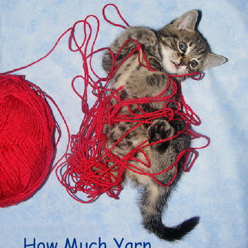How Much Yarn Does A Cat Need?
