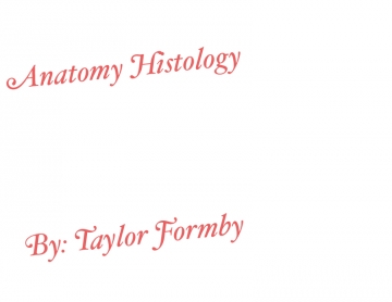 Anatomy Histology