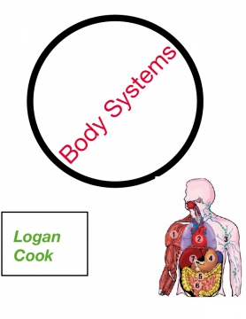 Systems of the body