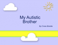My Autistic Brother