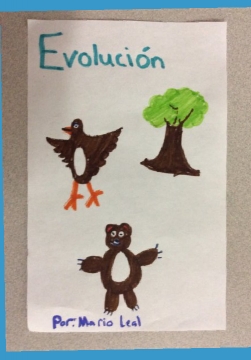 Evolucion