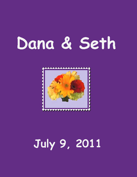 Dana & Seth's Wedding