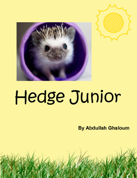 Hedge Junior